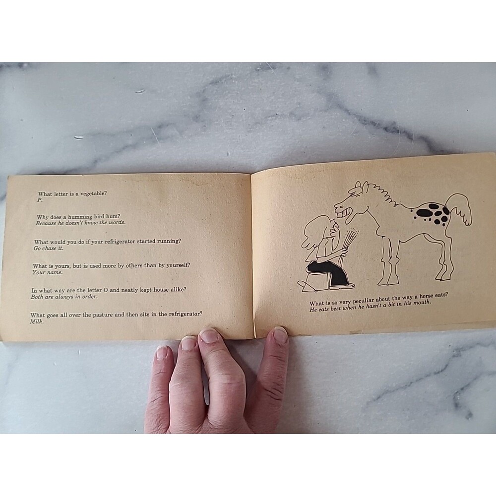 The Little Riddle Book - Picture 7 of 10